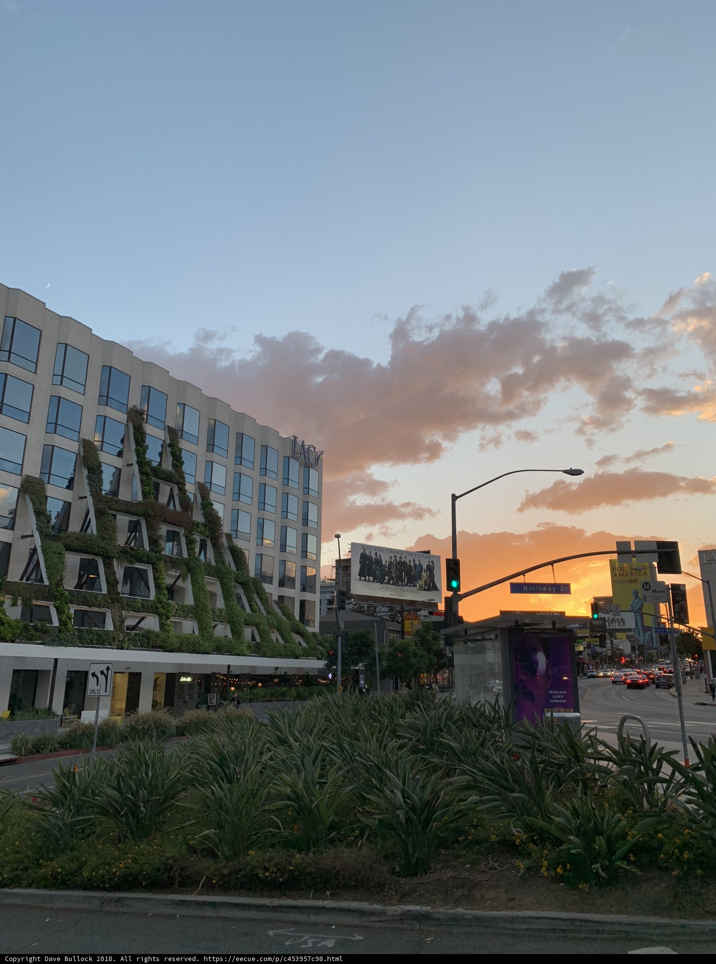 The Green Roof Building in the Metropolis