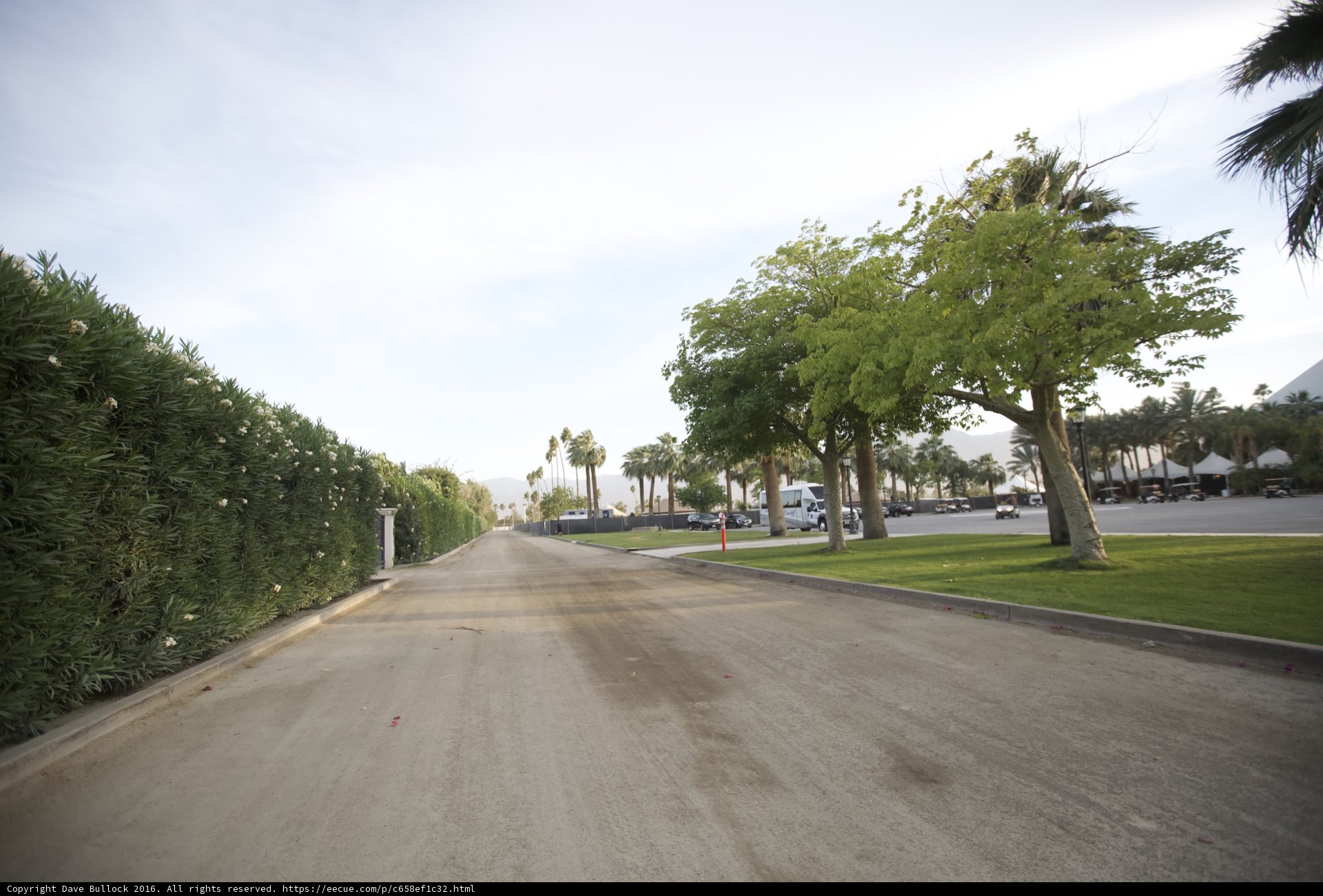 Scenic Drive through Palm Trees