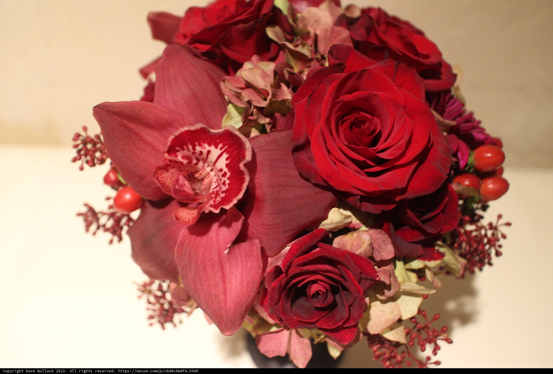 Fiery Bloom