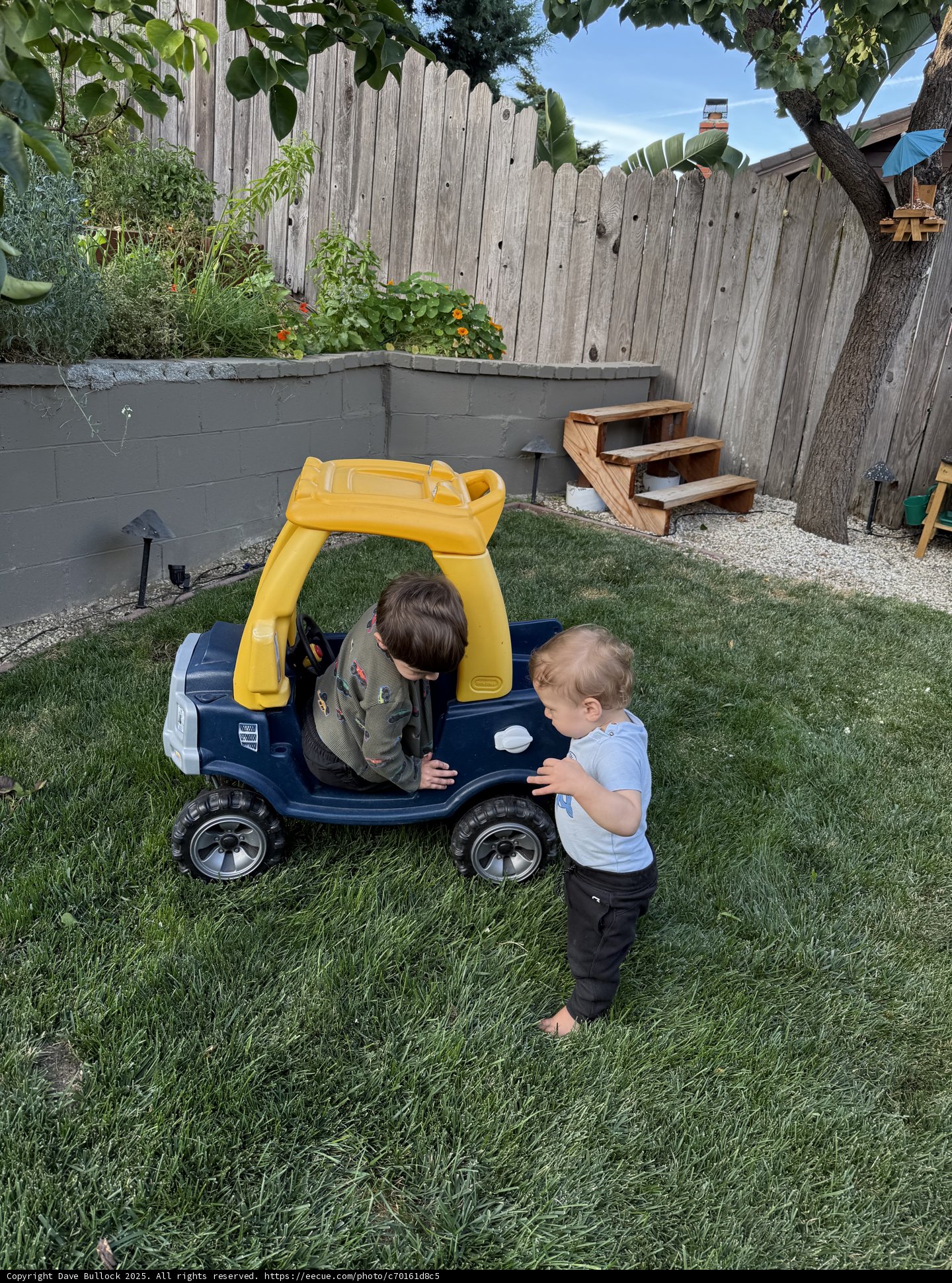 Backyard Adventures