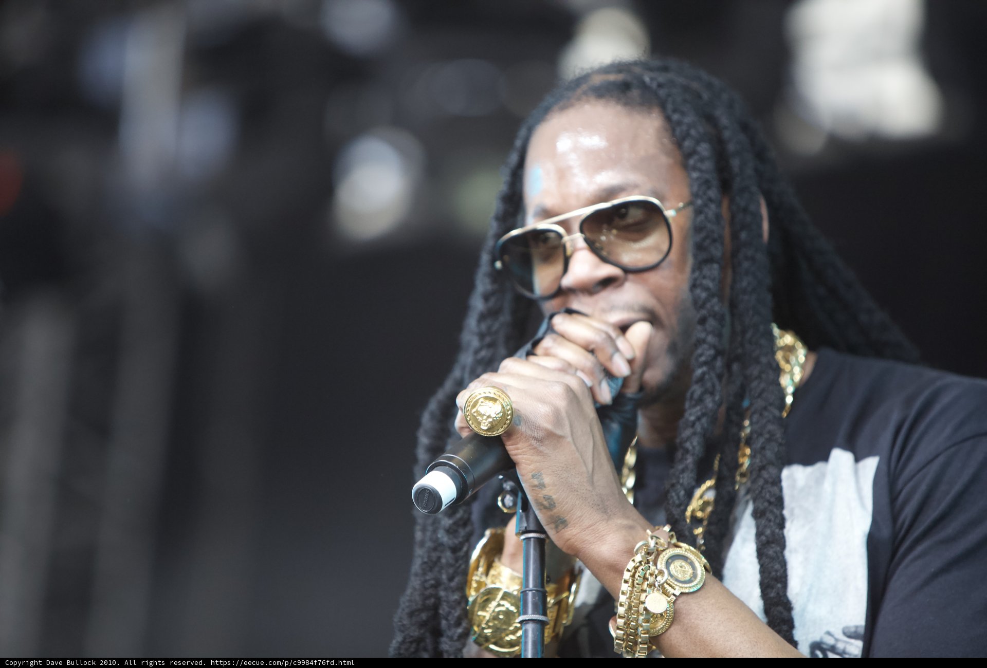 Gold Chains and Dreadlocks