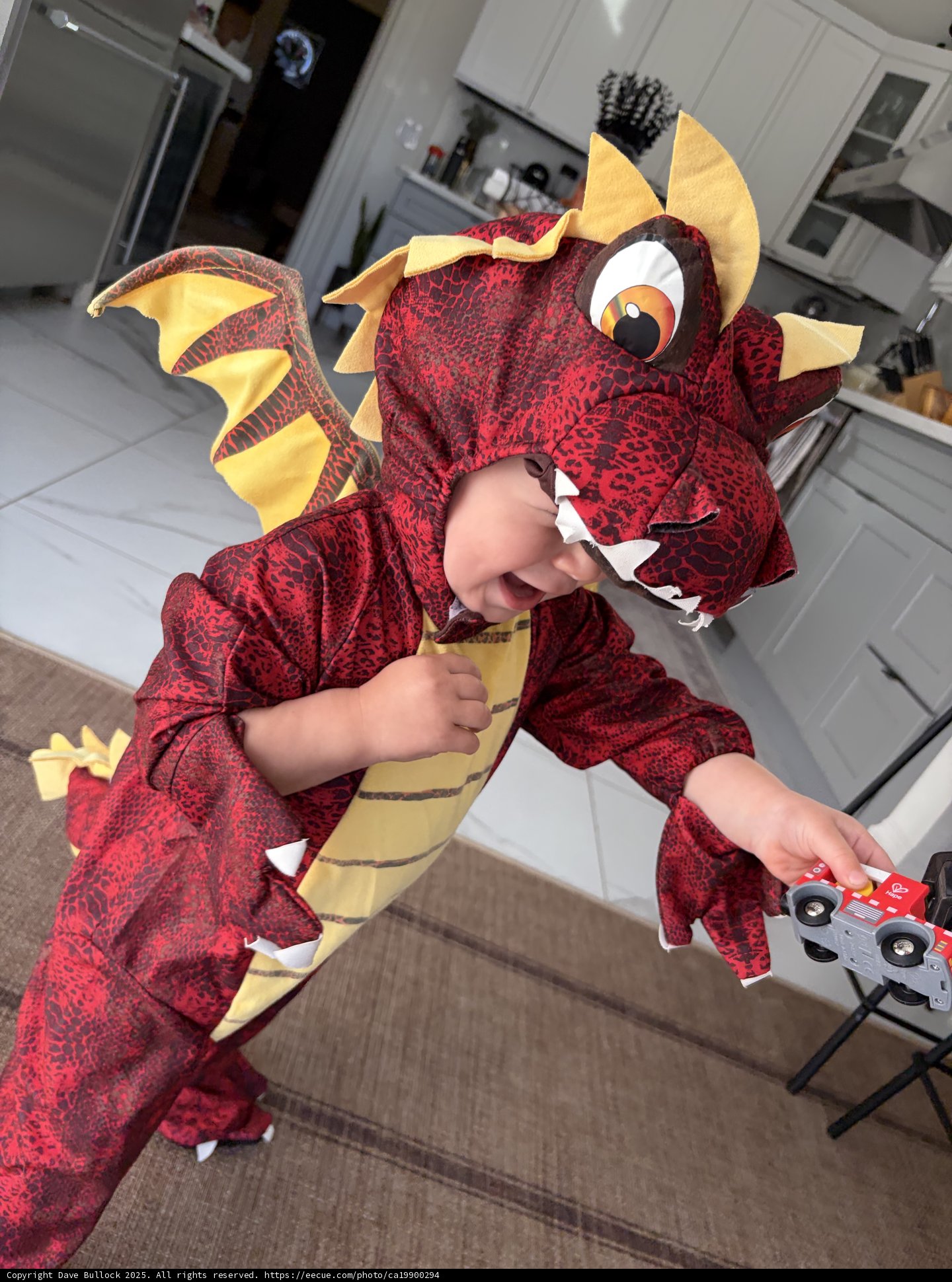 Little Dragon's Day Out