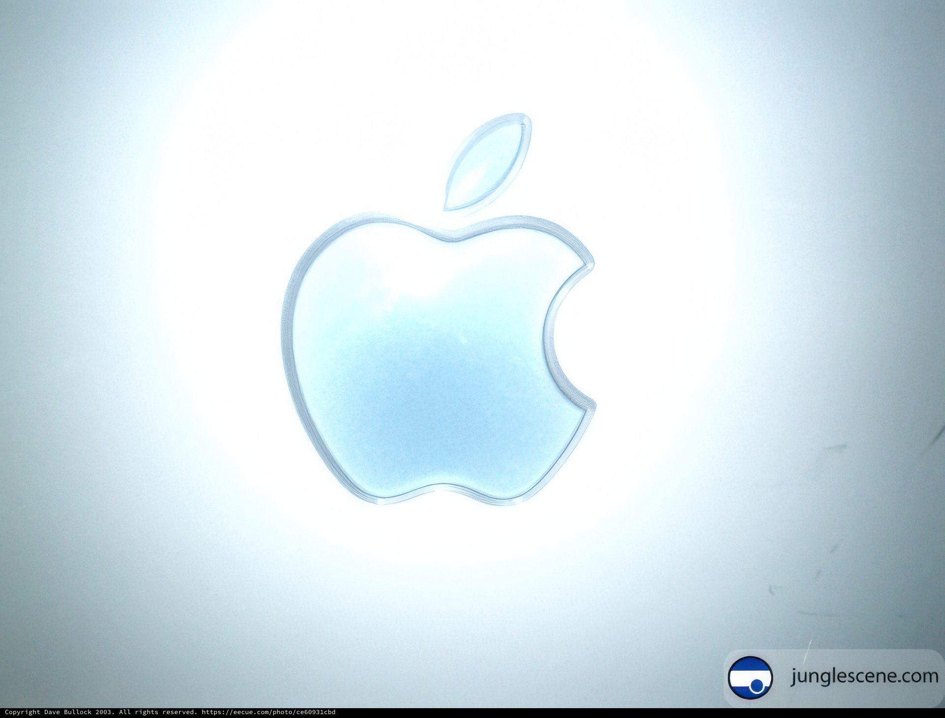 Apple Logo on a Blank Canvas