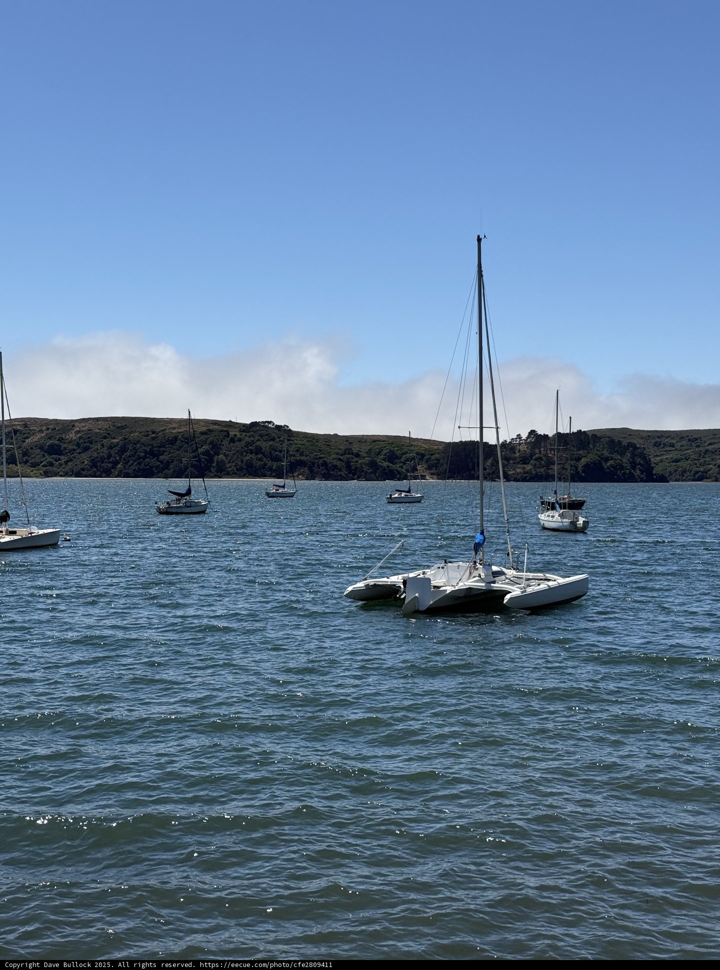 Tranquil Waters of Tomales Bay