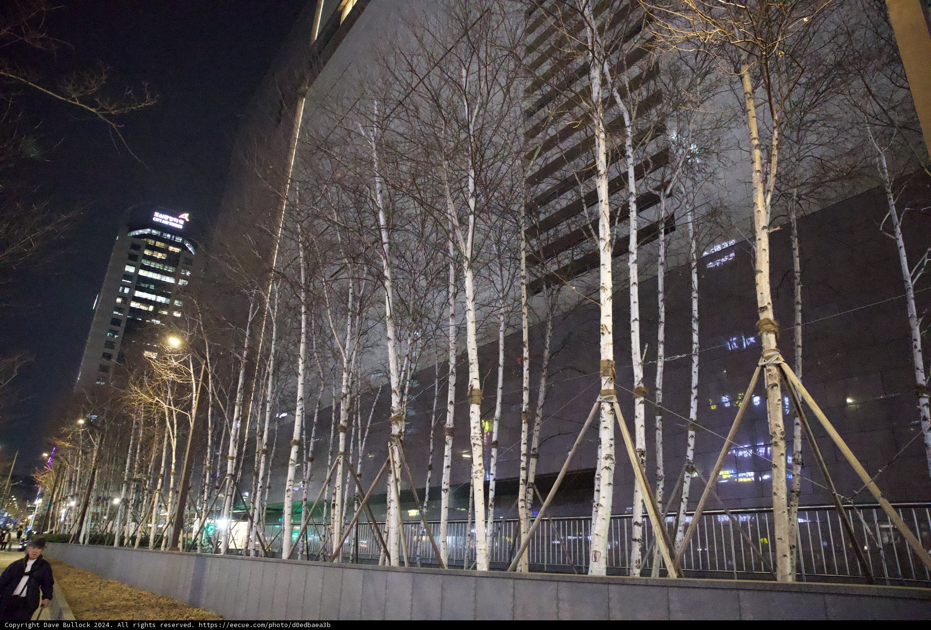 Nature Meets Architecture, Seoul Night Skies