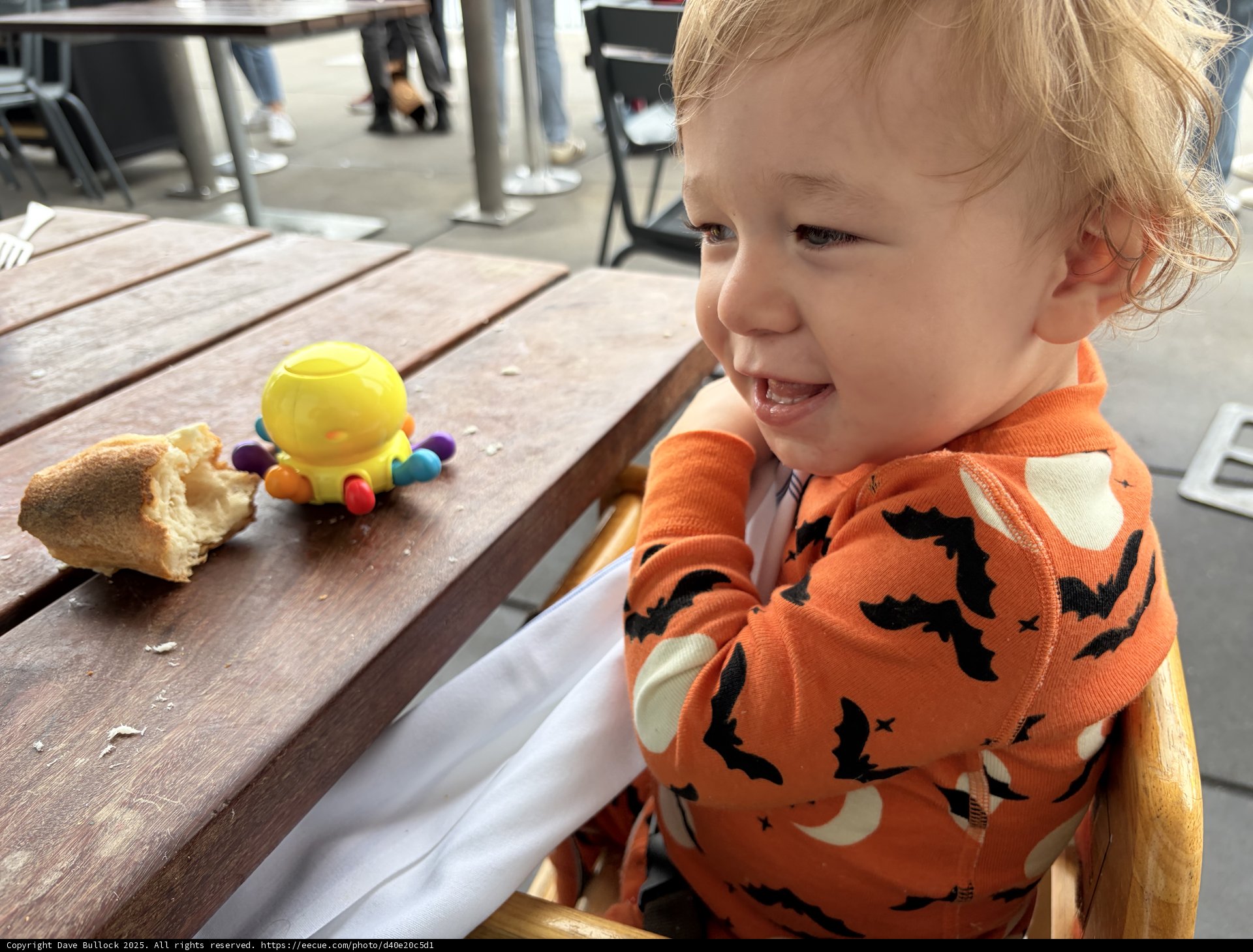 Little Bites of Joy