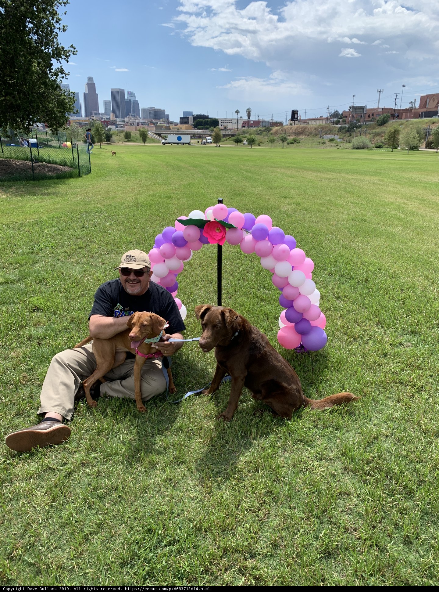 Sitting Pretty Under a Colorful Arch