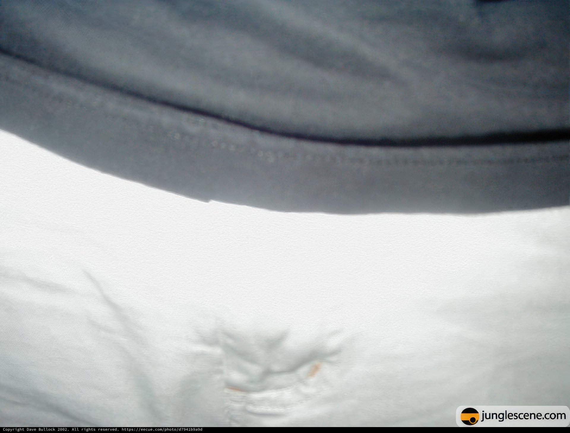 Hand in the Snow