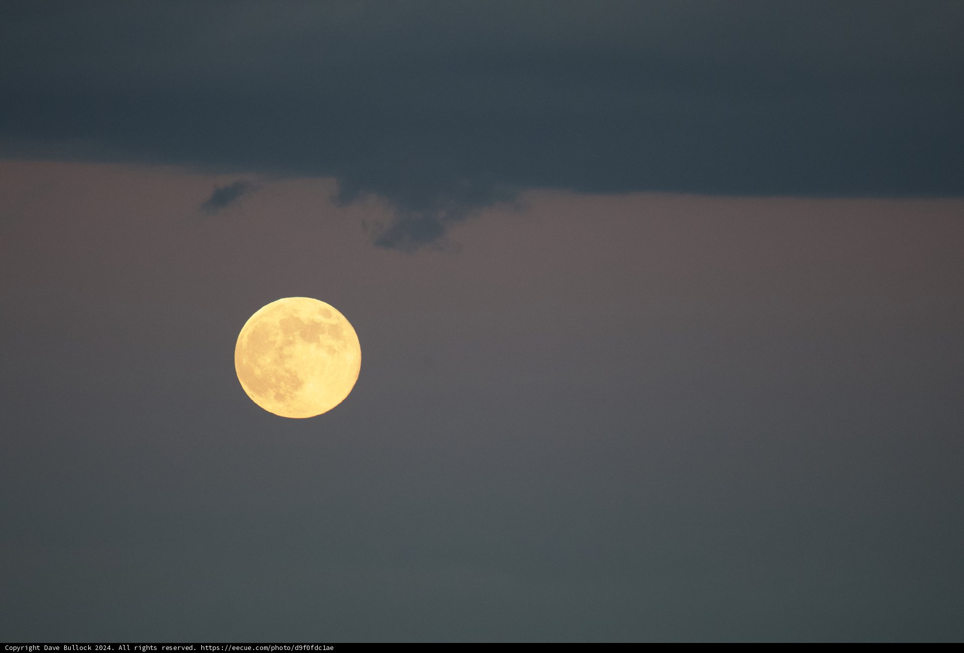 Enchanting November Moonrise