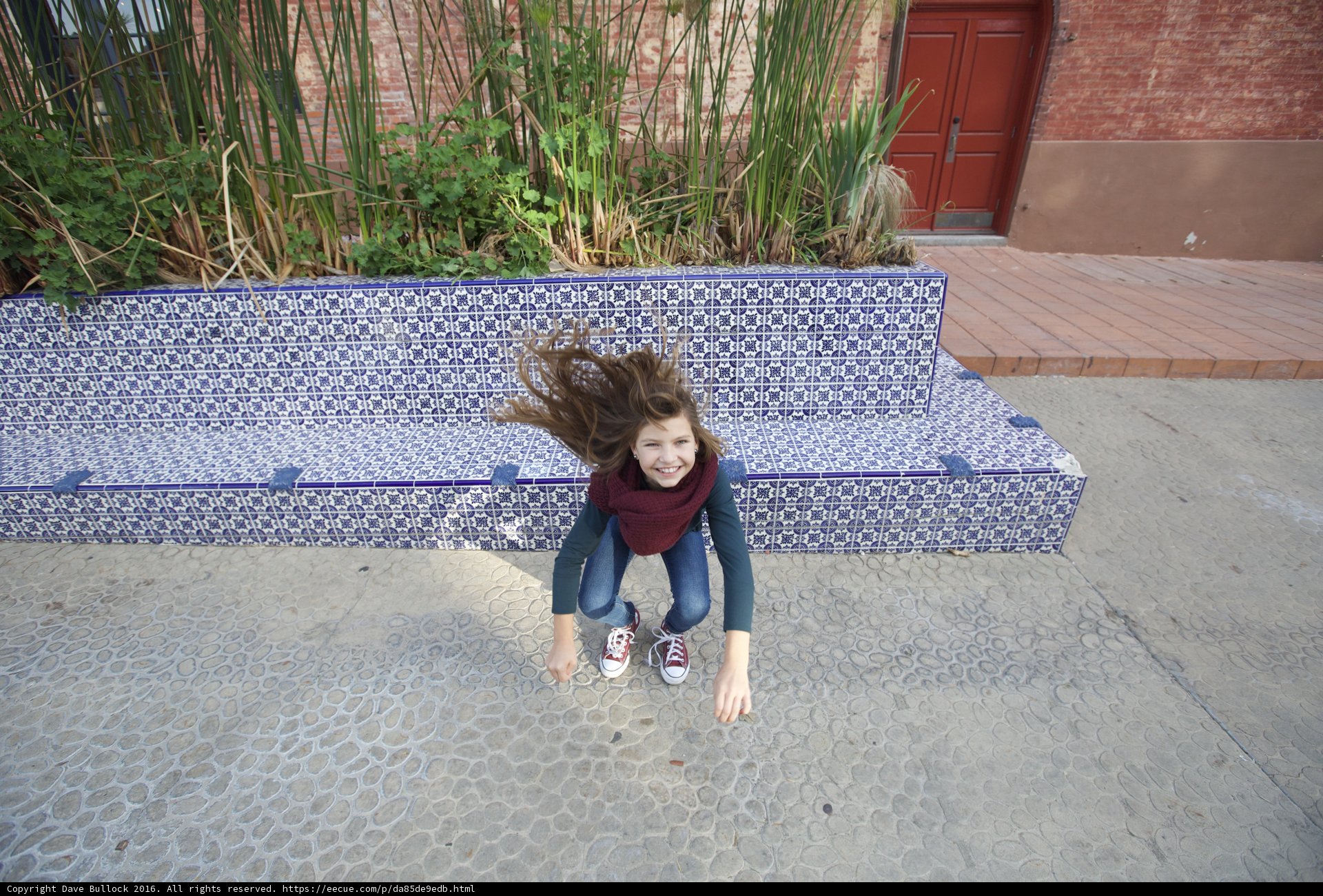 Leap of Joy
