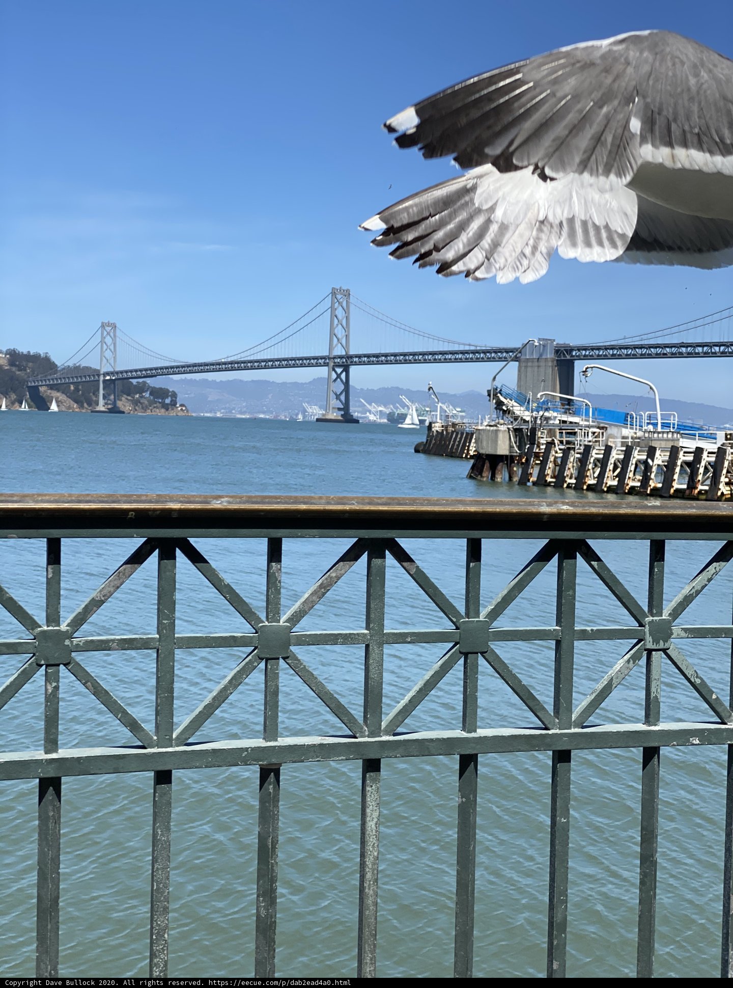 Flight over the Urban Waterfront