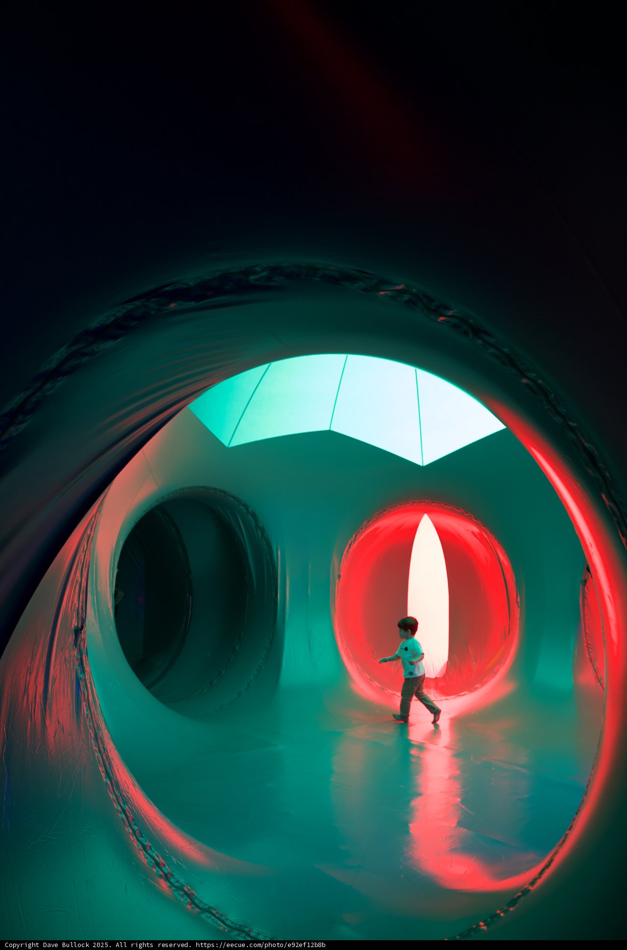 Journey Through Light