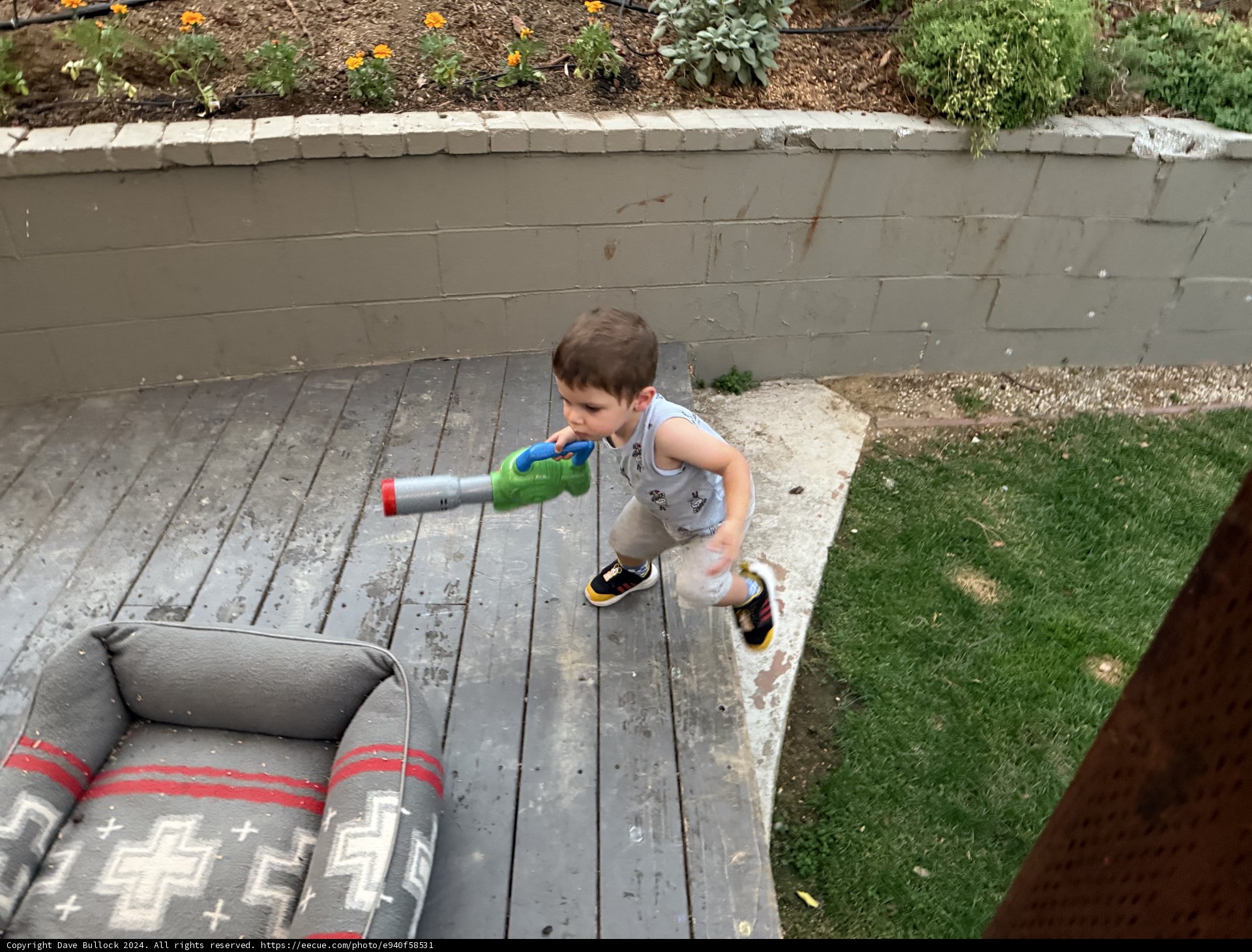 Backyard Adventure