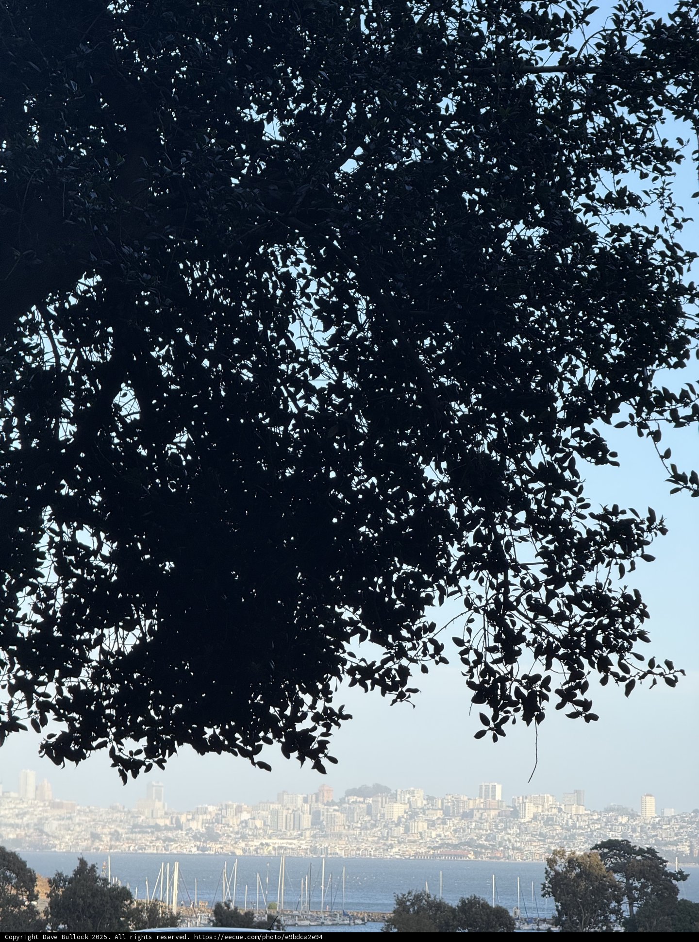 Sausalito's Natural Frame