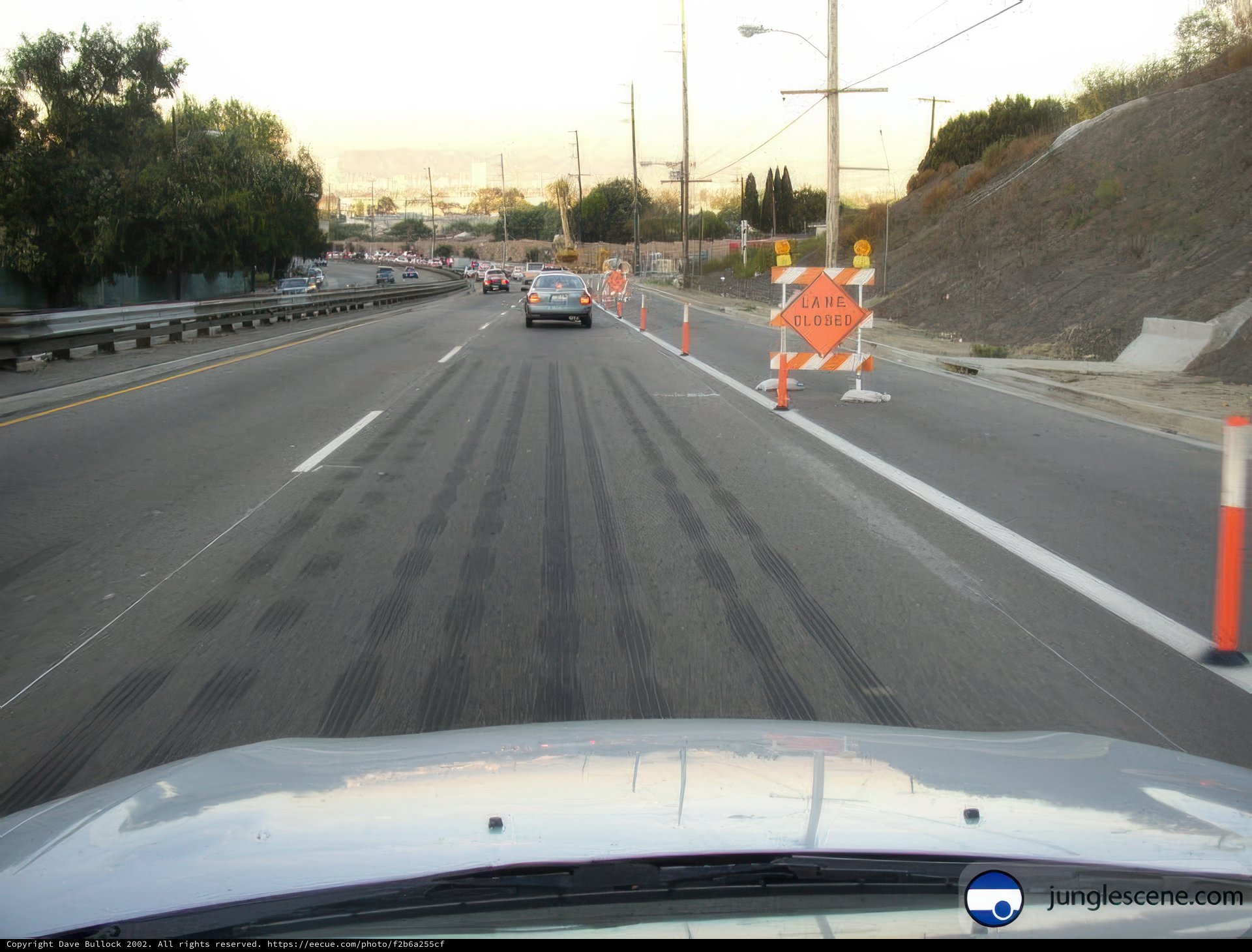 Cruising on the Freeway