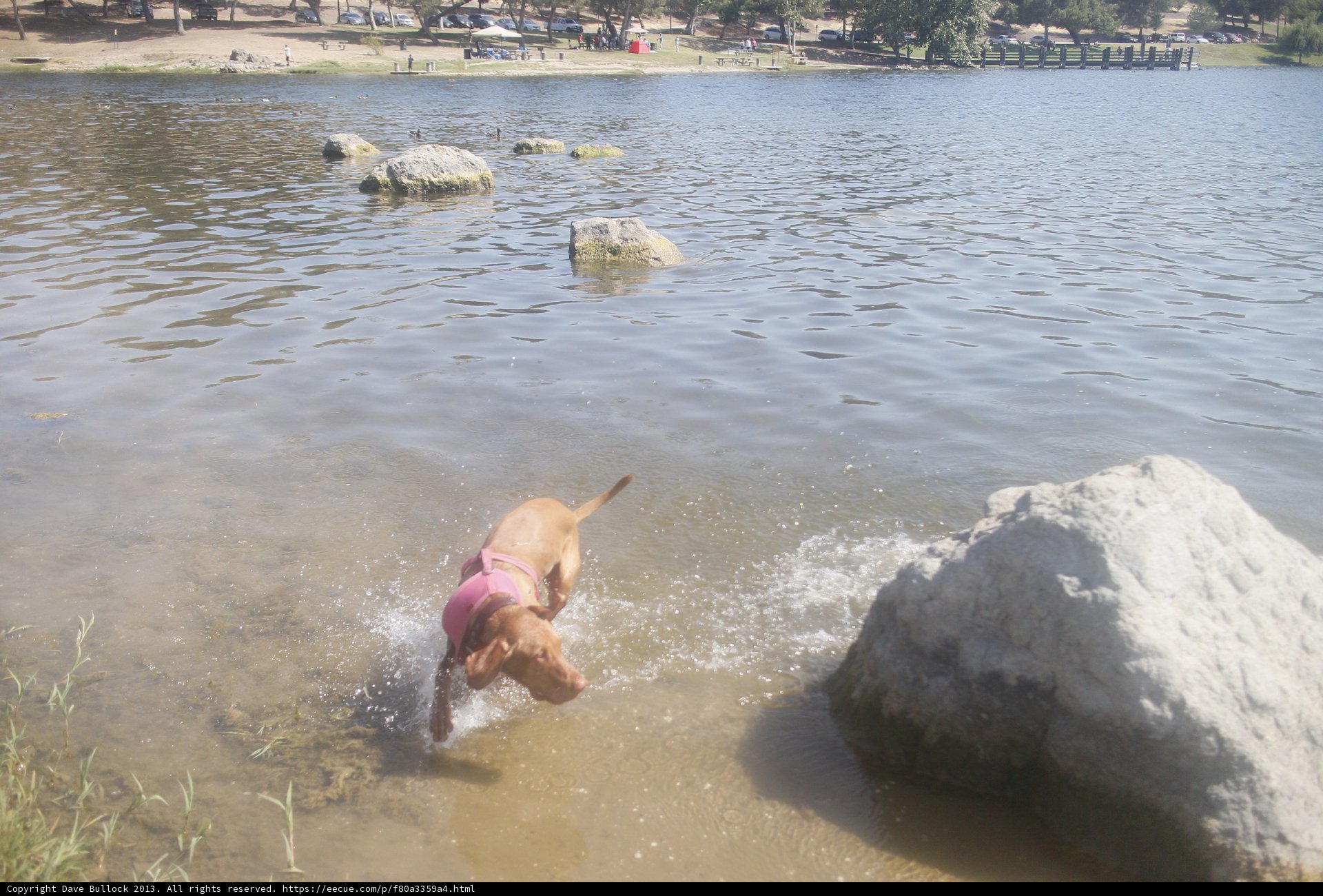 Playtime at the Lake