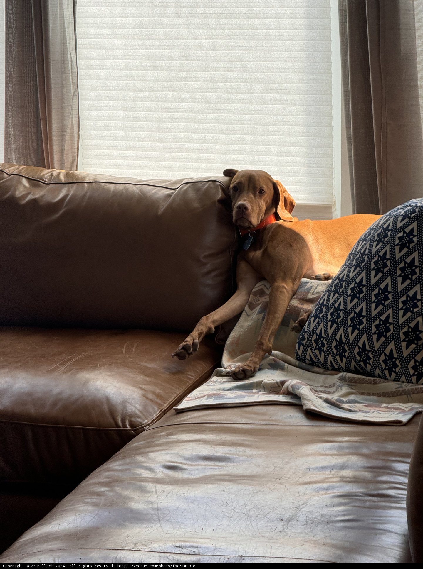 Lazy Afternoon Vibes
