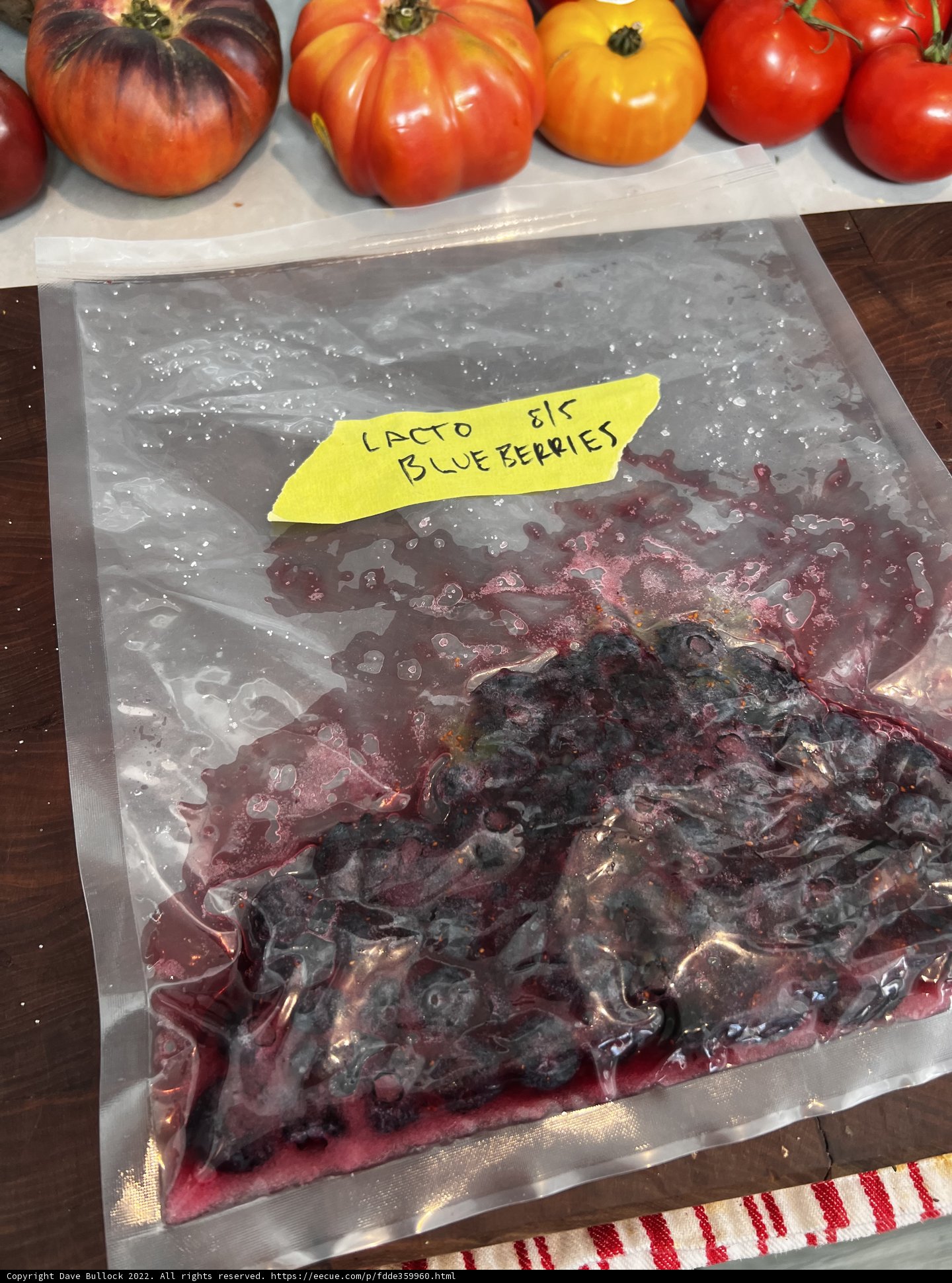 Fresh Blueberries for a Healthy Snack