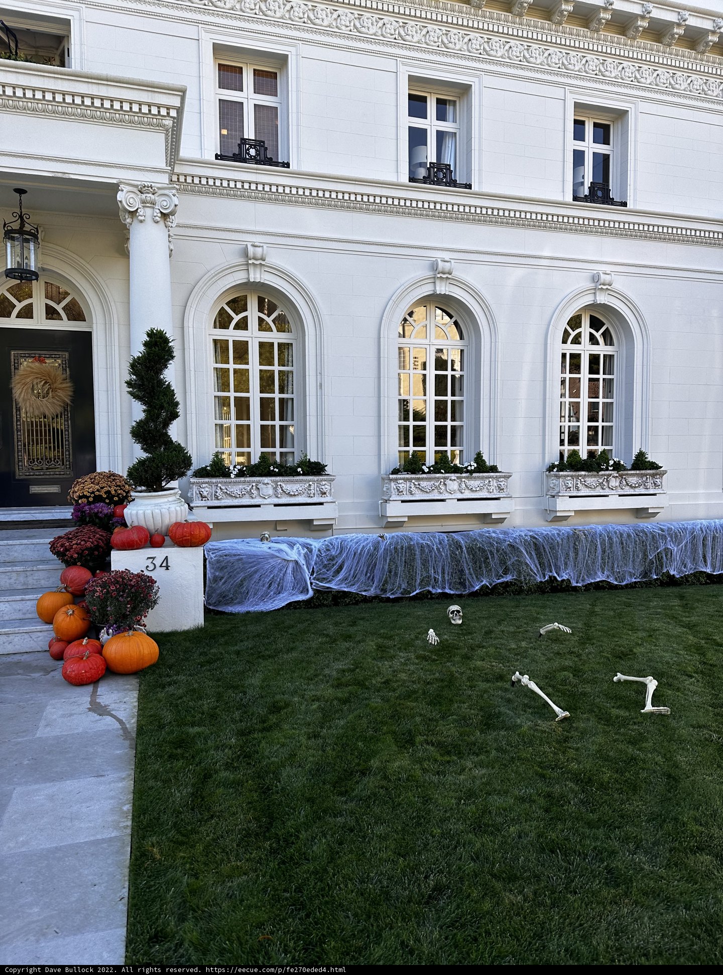 Fall Festivities in San Francisco