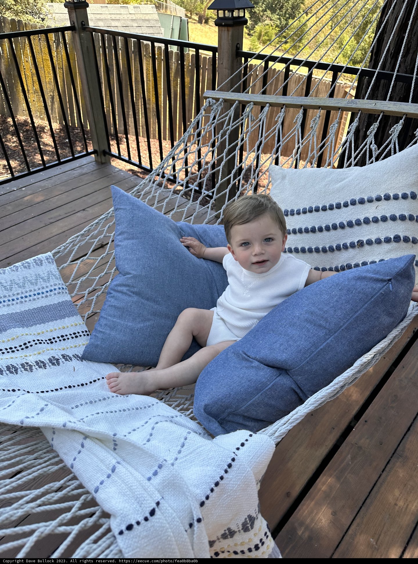 Summer Bliss in the Golden State