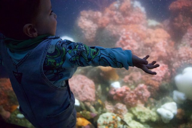 Young Explorer: Journey through the Underwater Realm