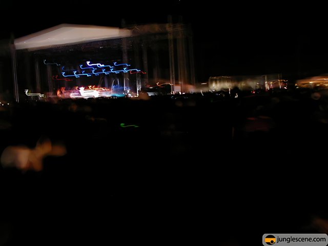Blurry Night Concert Vibes