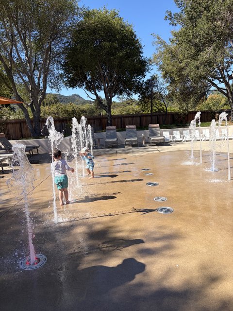Fountain Frolic in Carmel