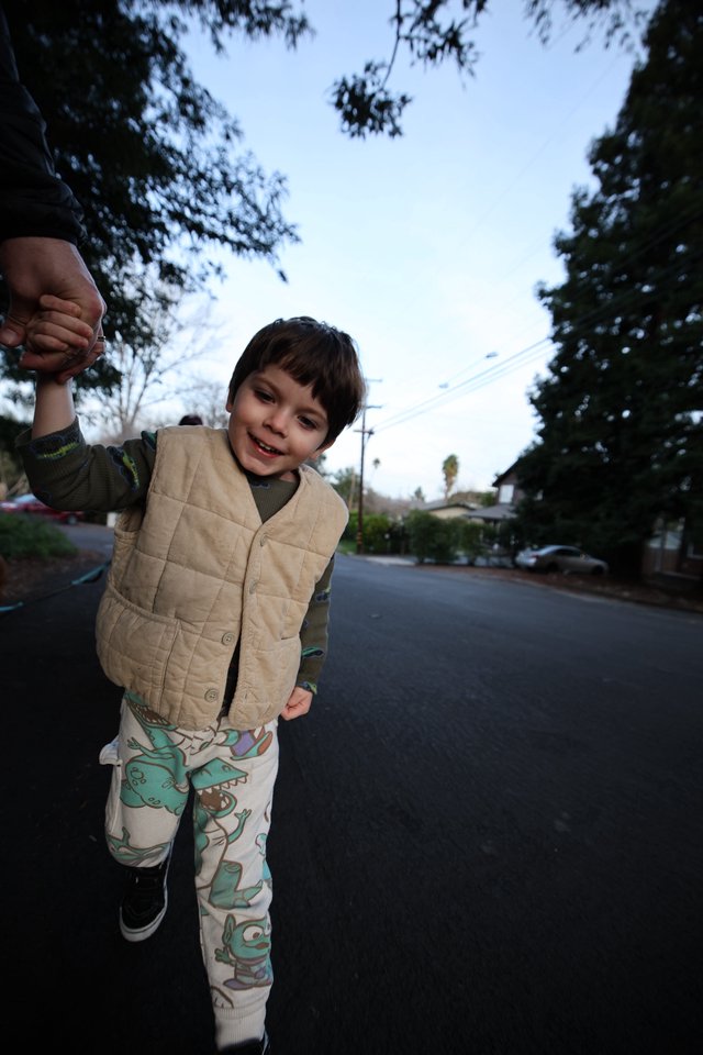 Young Child Walking Hand-in-Hand on Suburban Street