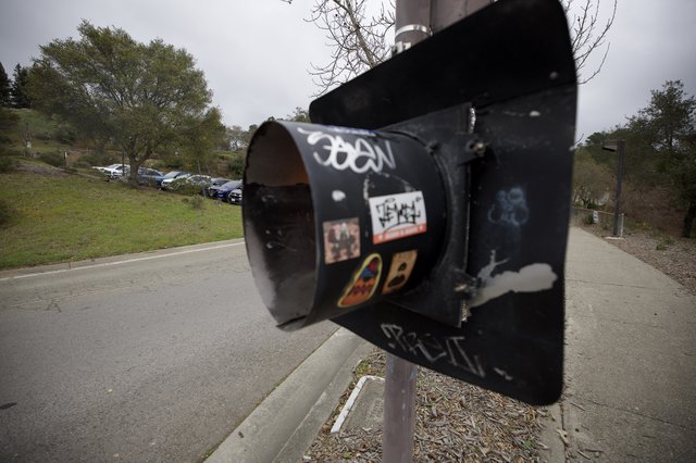 Graffiti-Tagged Mailbox Along Suburban Pathway