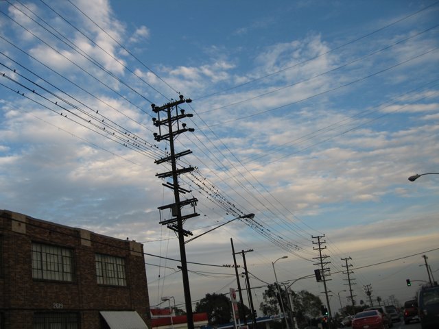 Busy Street with Power Pole and Utility Cables
