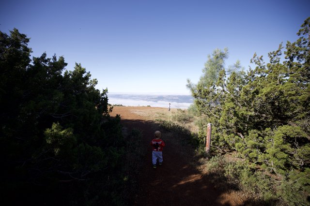 Young Hiker Explores Trail Above the Clouds