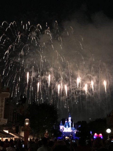 Spectacular Night Show at Disneyland