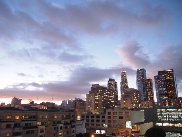 The Majestic Los Angeles Skyline