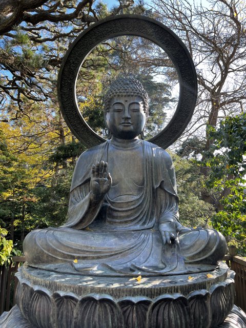 The Serene Buddha Statue at Japanese Tea Garden