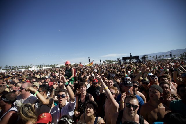 Coachella Crowd Goes Wild