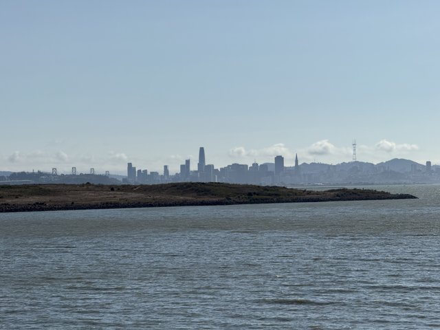 Previous