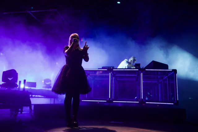 Woman in a Dress Takes the Stage with a DJ at Coachella Concert
