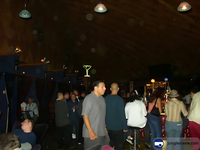 Nightlife Crowd at the Local Pub