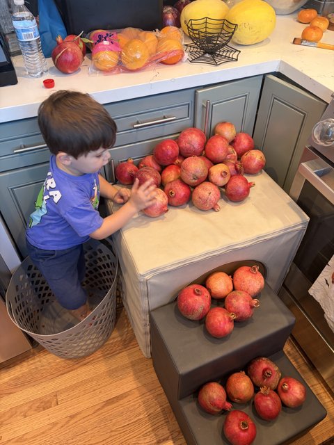 Autumn's Bounty