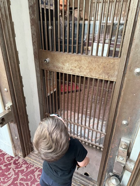 Curious Encounters at City Hall
