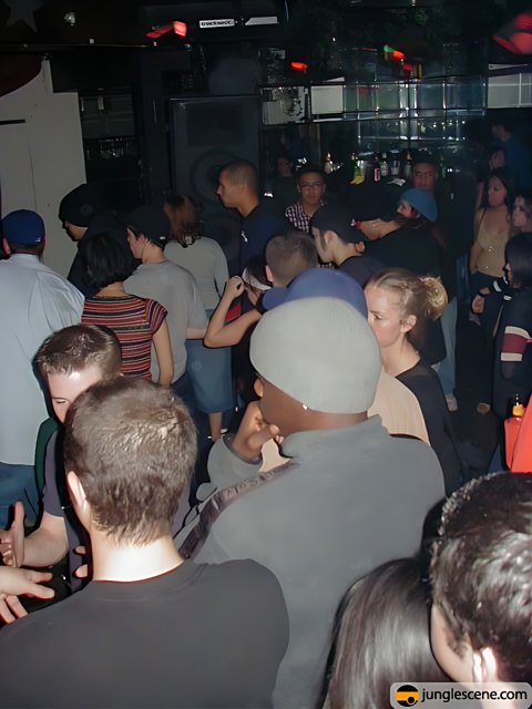 Nightclub Fun with a Crowd