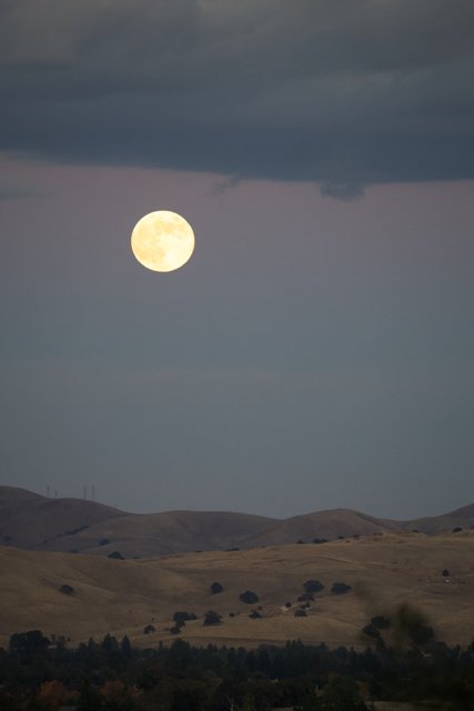 Lunar Radiance Over Walnut Creek