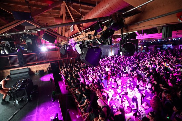Packed Crowd Pulses Under Purple Lights at Wobbleland
