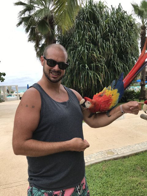 Parrot and his Pal