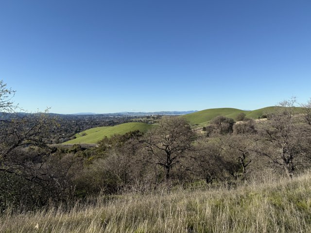 Serene Skies Over Lime Ridge