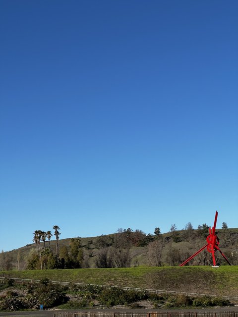 Majestic Red Kite Flying Over Verdant Fields