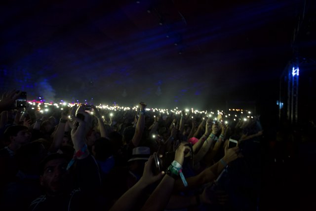 Concertgoers Illuminate the Night