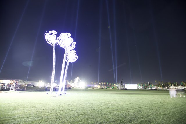 Palm Trees and Lights at Coachella