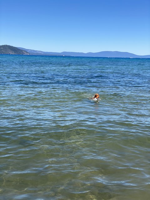 Man and Dog Take to the Waves