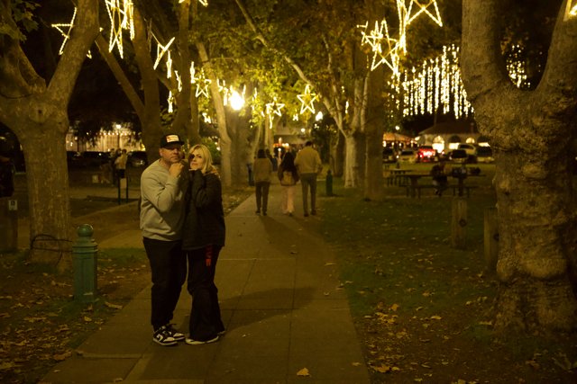 Enchanted Evening in Downtown Sonoma